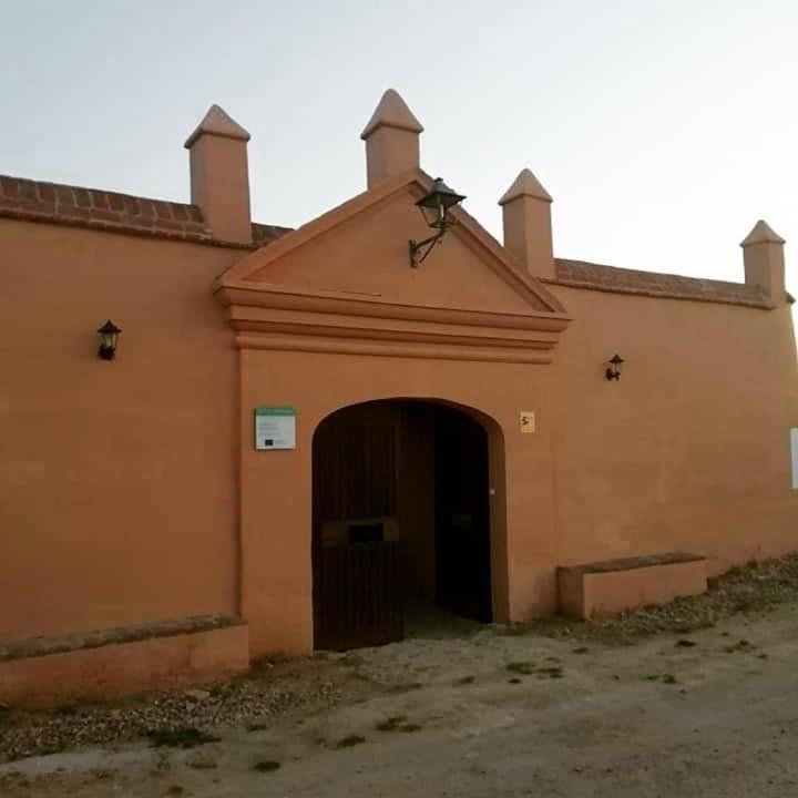 Albergue Turistico La Almazara Villafranca de los Barros Exterior foto