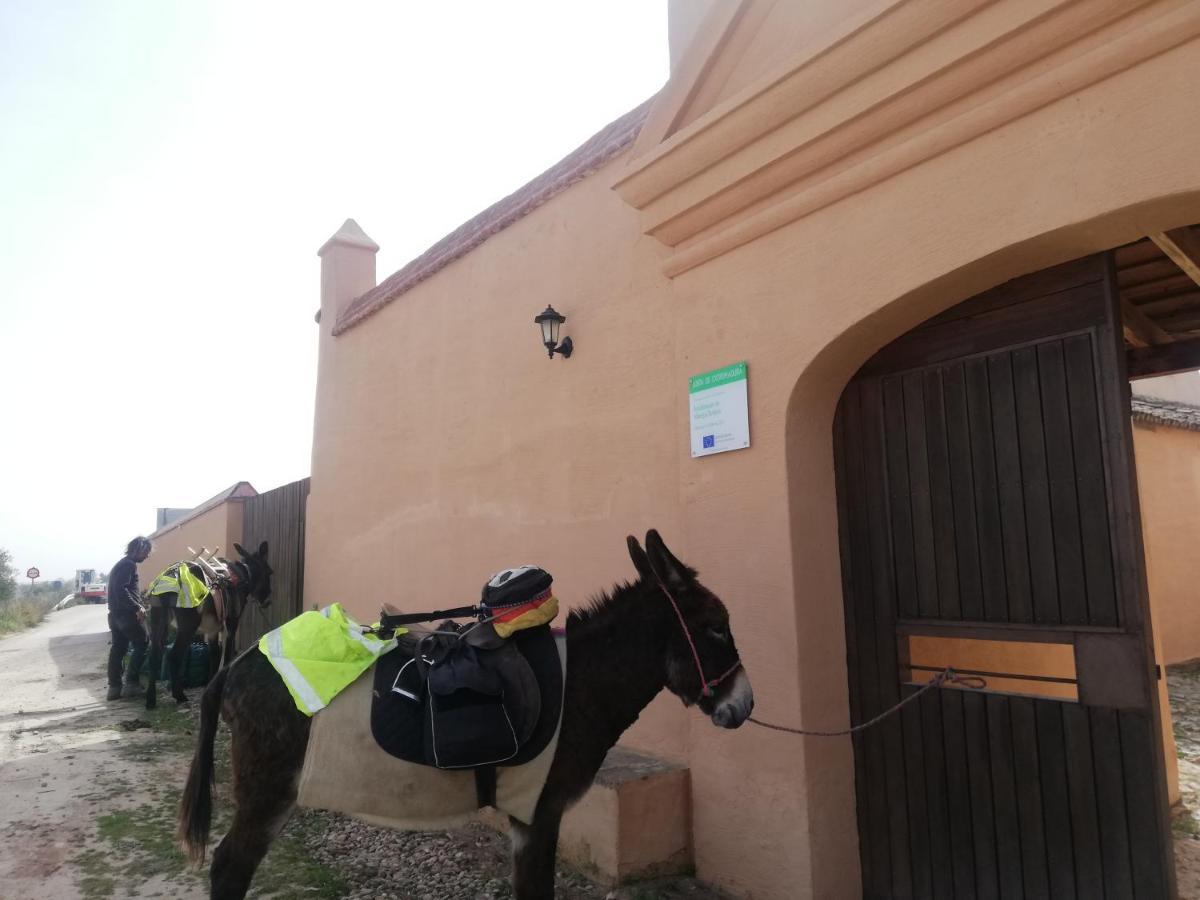 Albergue Turistico La Almazara Villafranca de los Barros Exterior foto